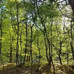 6 Person In Bindslev-by Traum * Bindslev